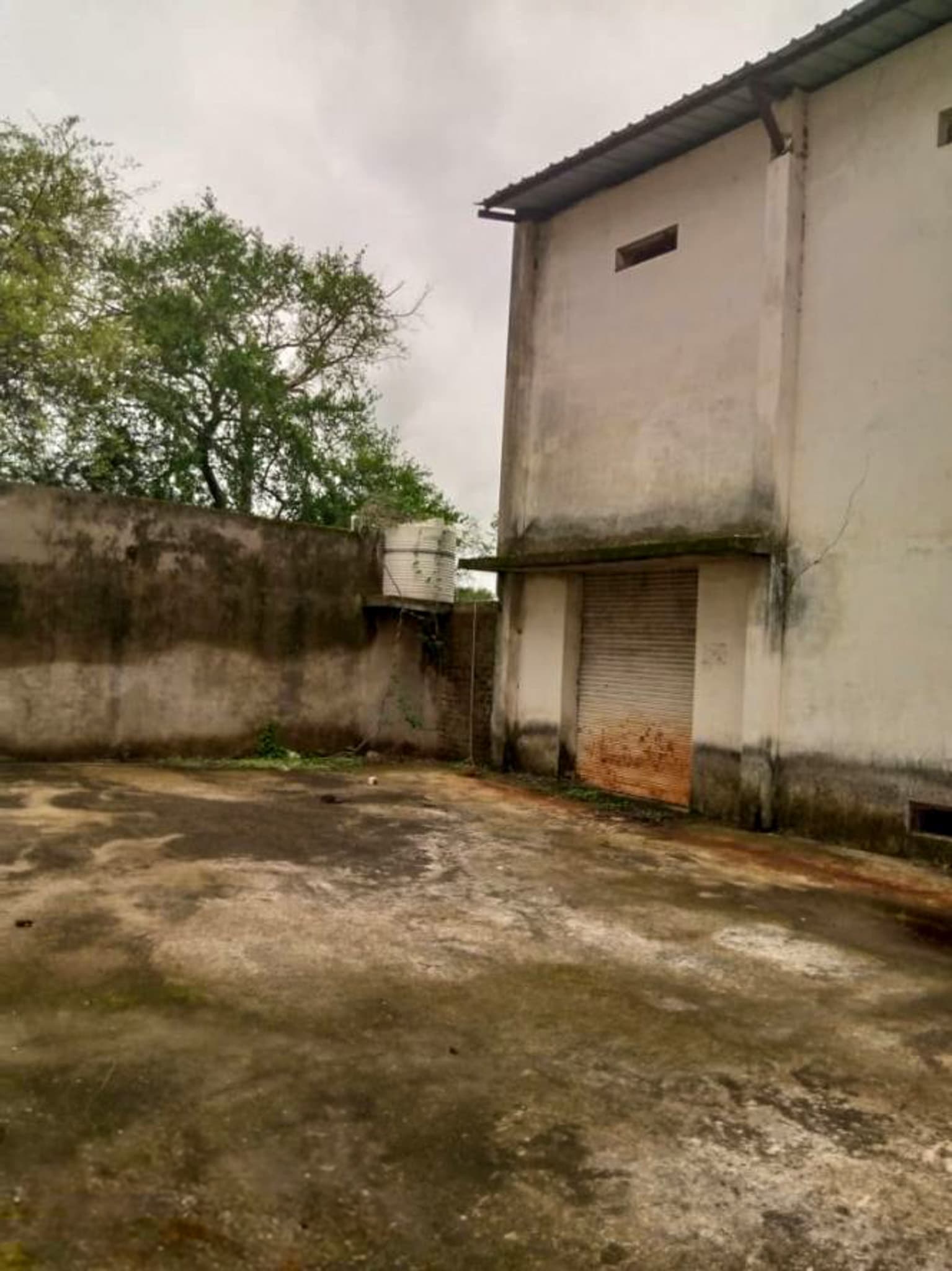 Property Photos 4