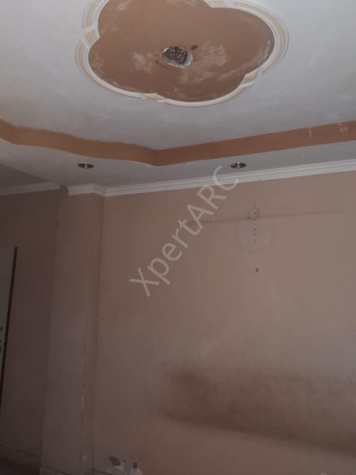 Property Photos 8
