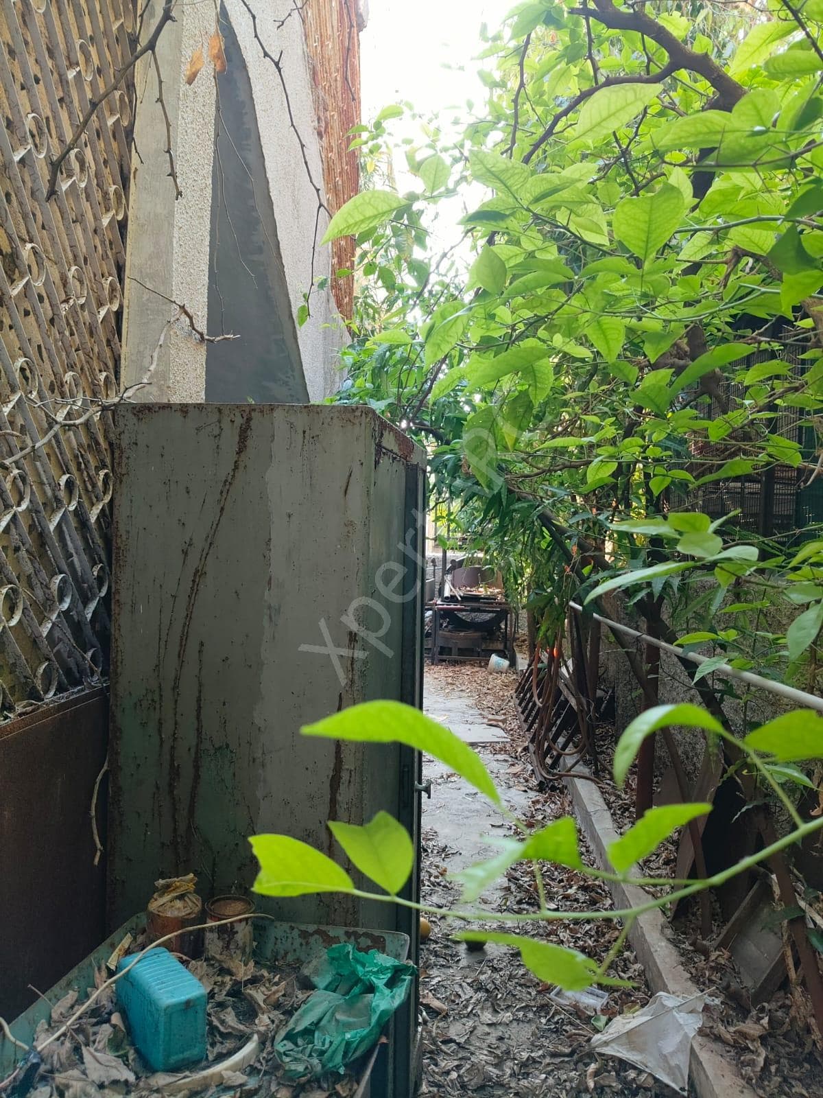 Property Photos 1