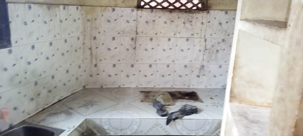 Property Photos 7