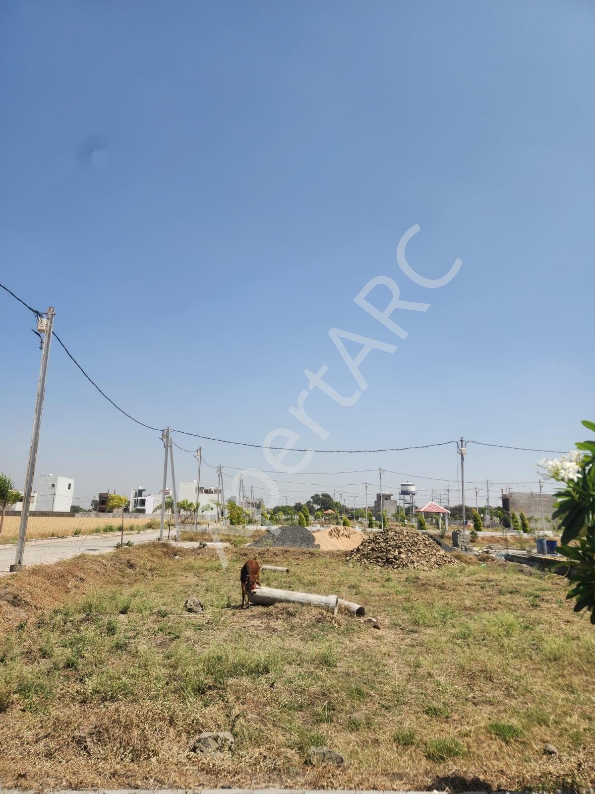 Property Photos 4