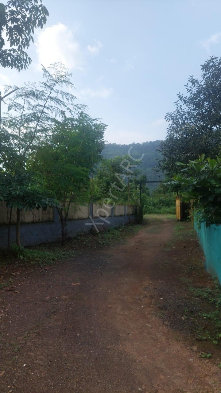 Property Photos 7