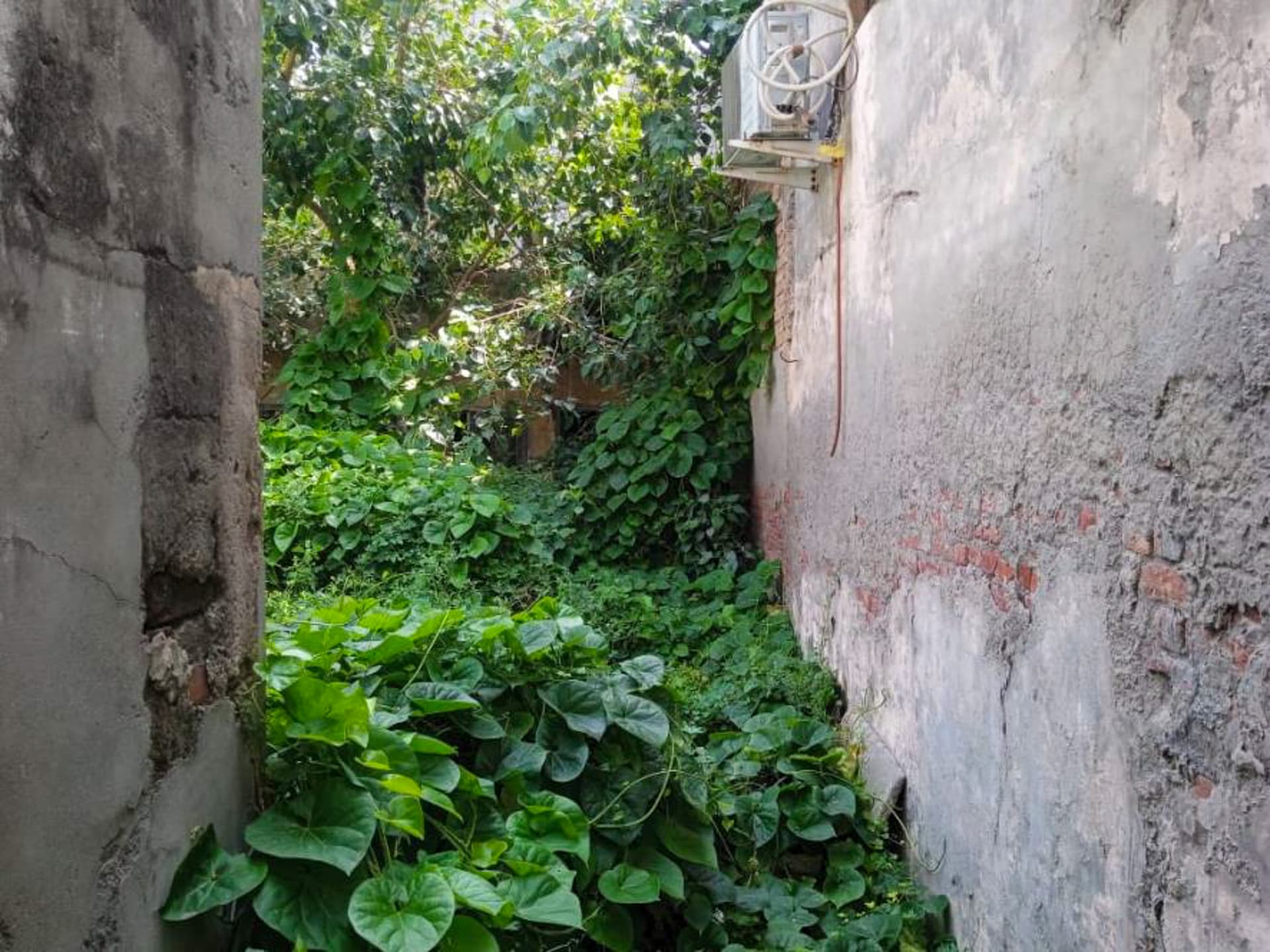 Property Photos 6