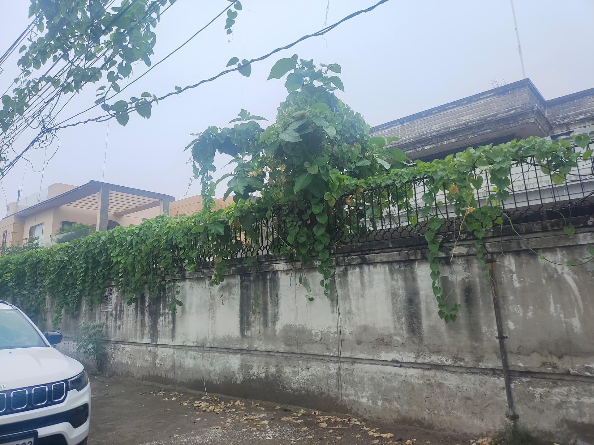 Property Photos 28