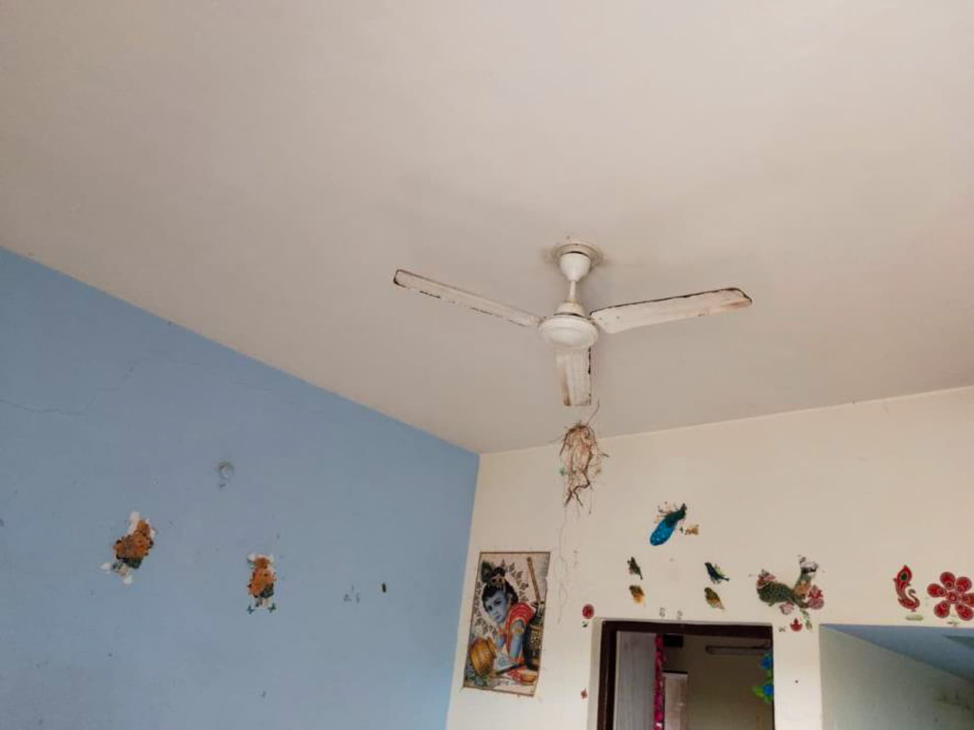 Property Photos 11
