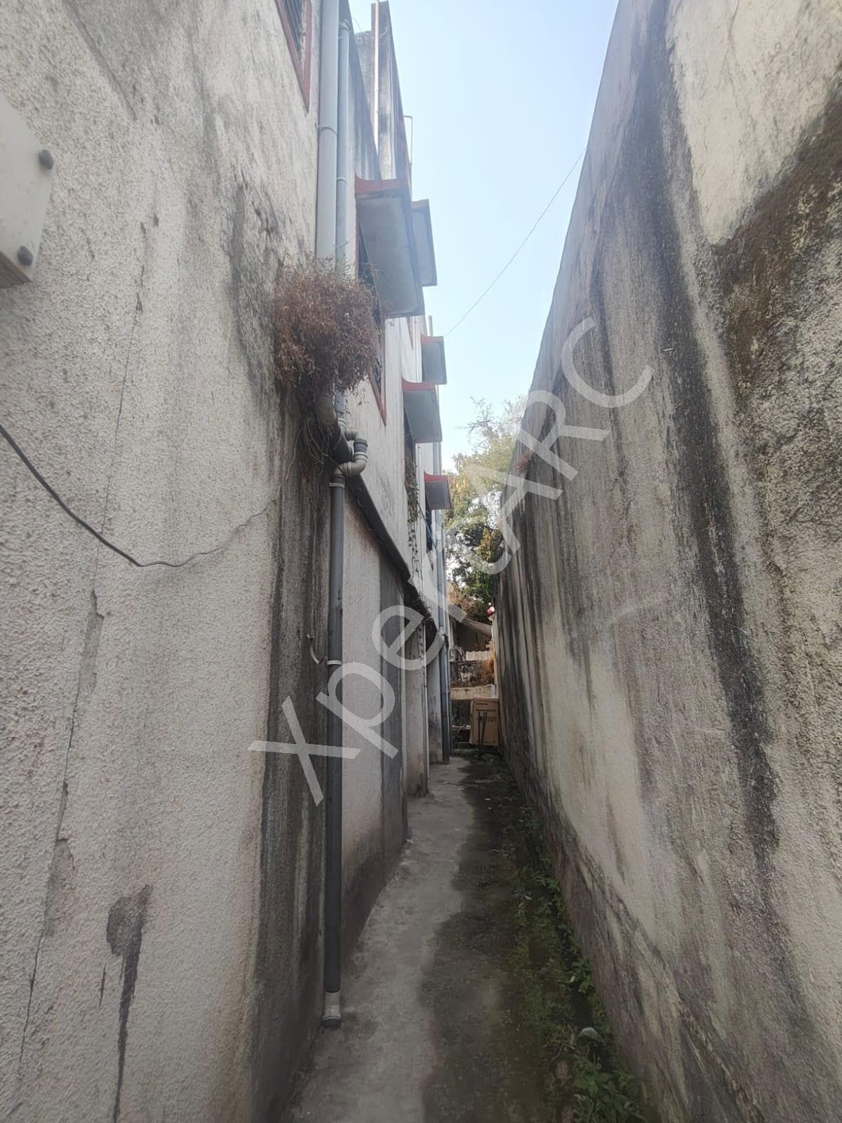 Property Photos 8