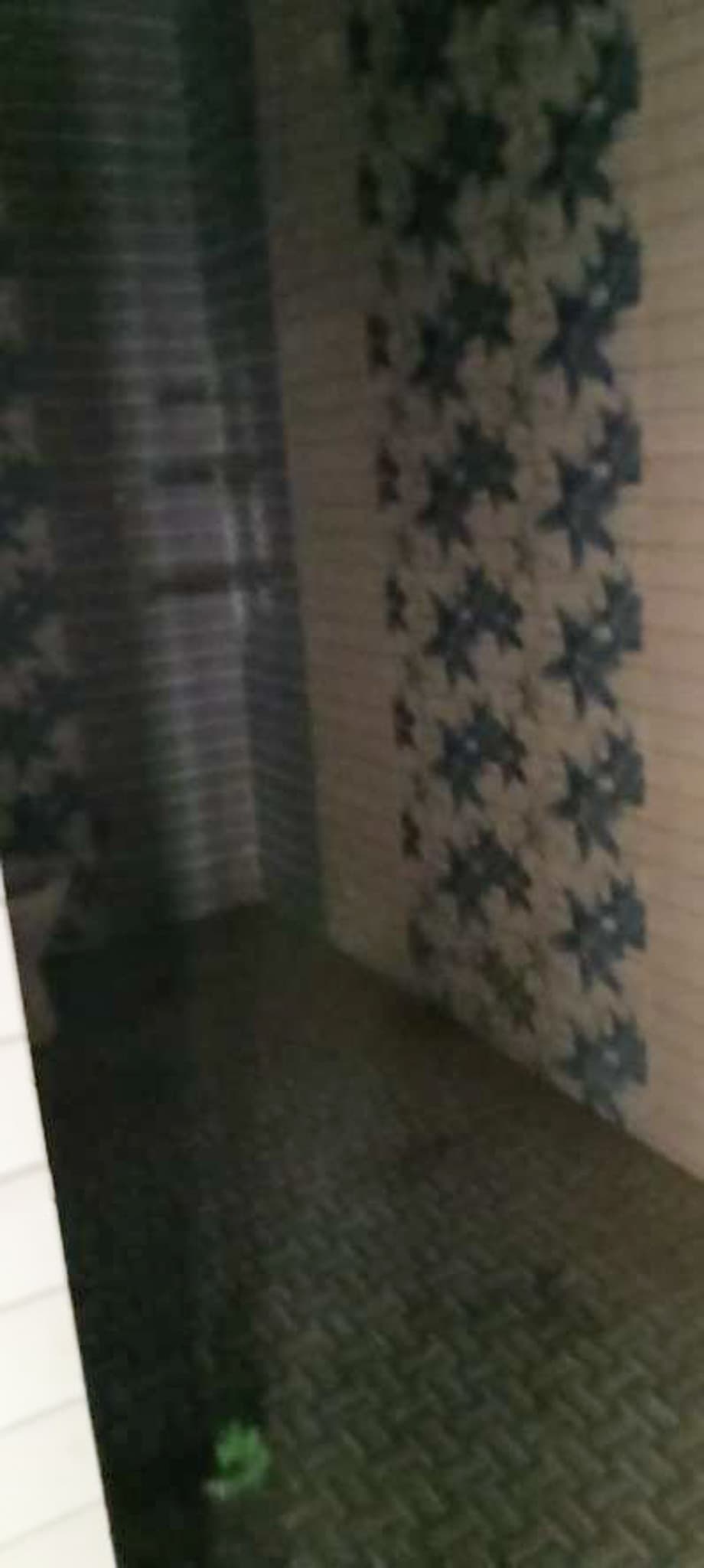 Property Photos 5