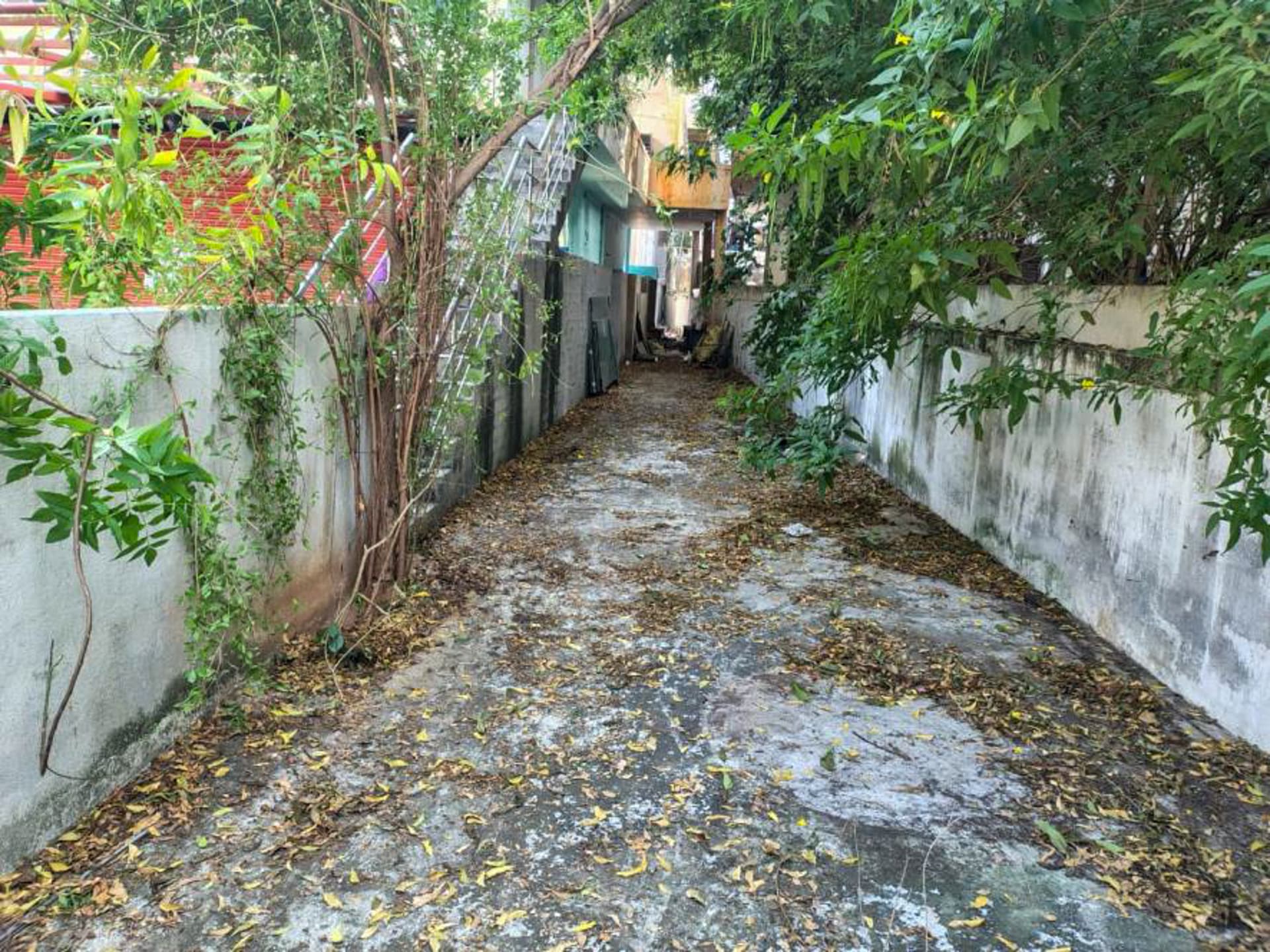 Property Photos 19