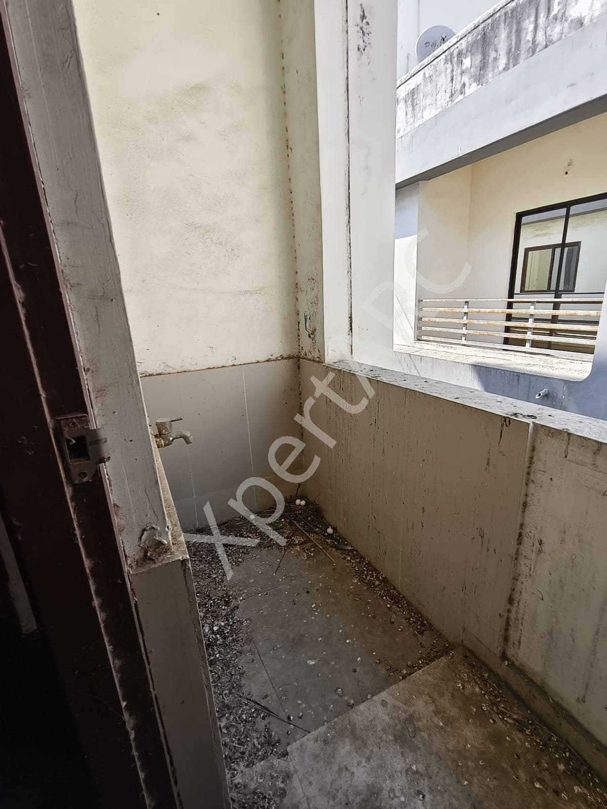 Property Photos 18