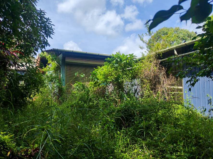 Property Photos 2