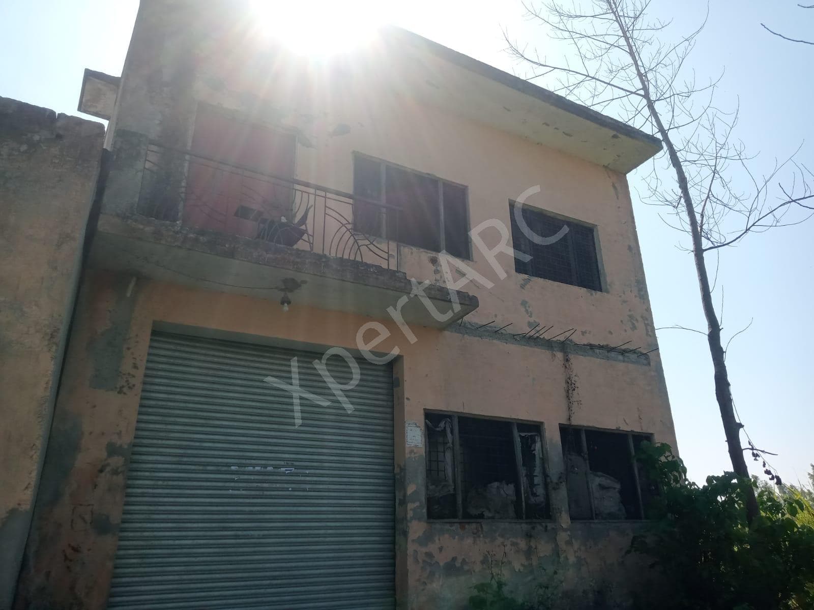 Property Photos 5