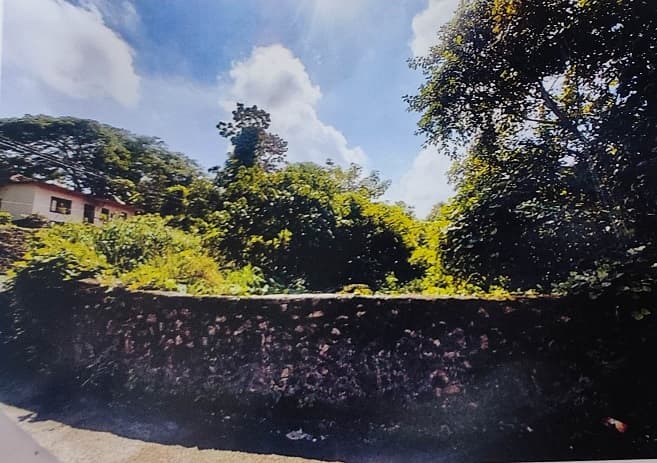 Property Photos 2