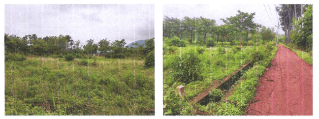 Property Photos 16