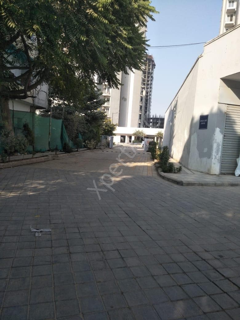 Property Photos 5