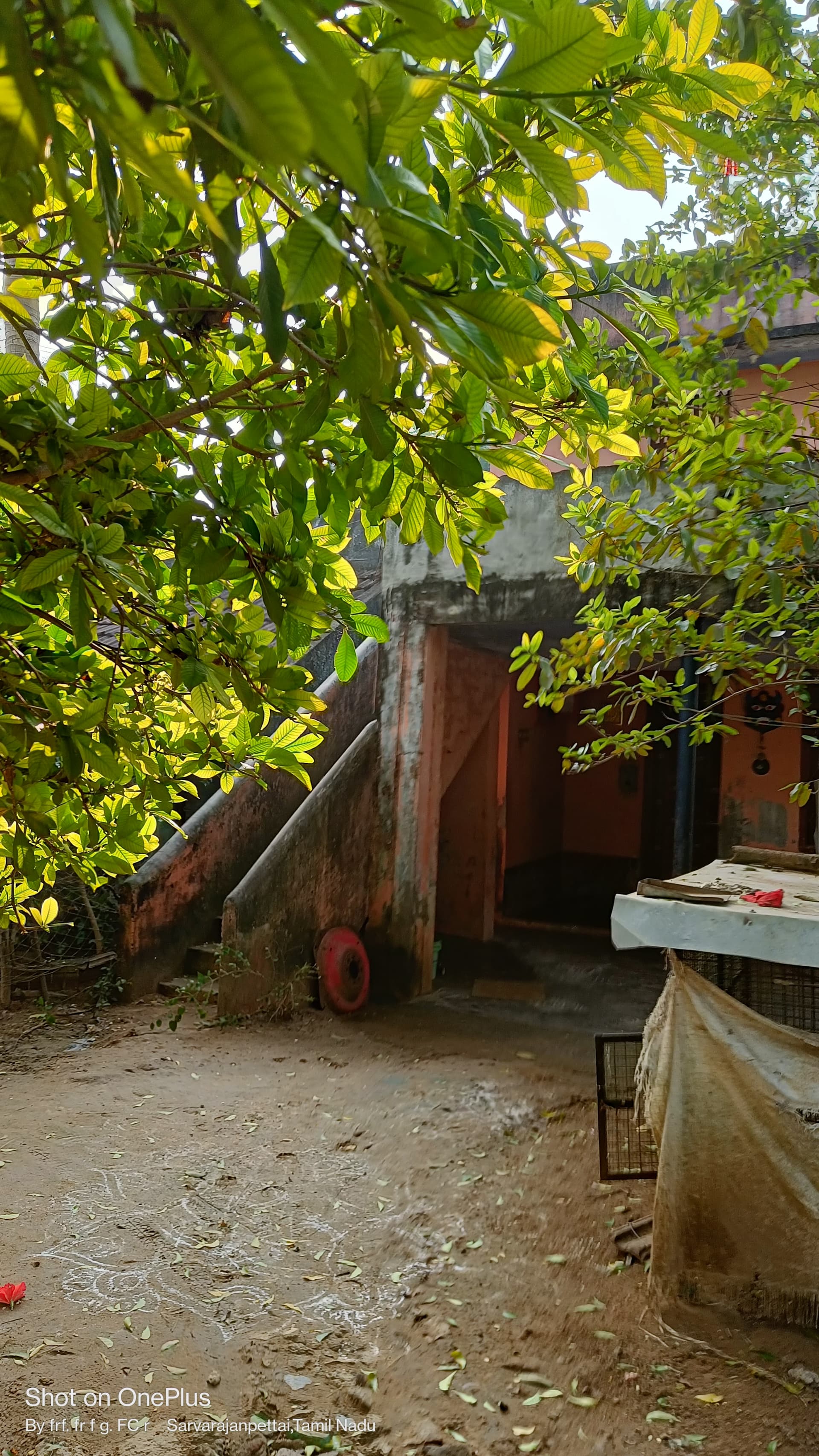 Property Photos 2