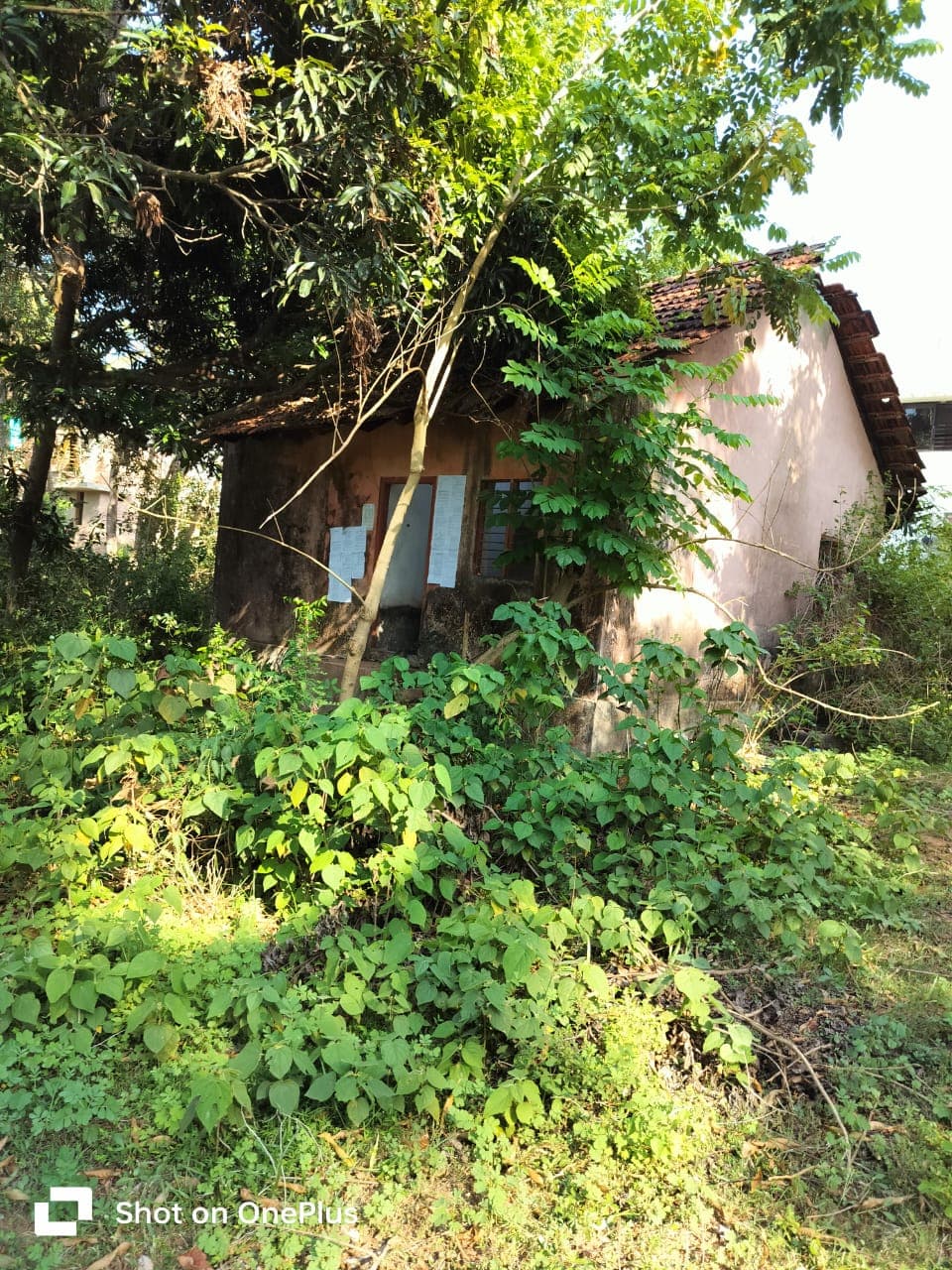 Property Photos 7