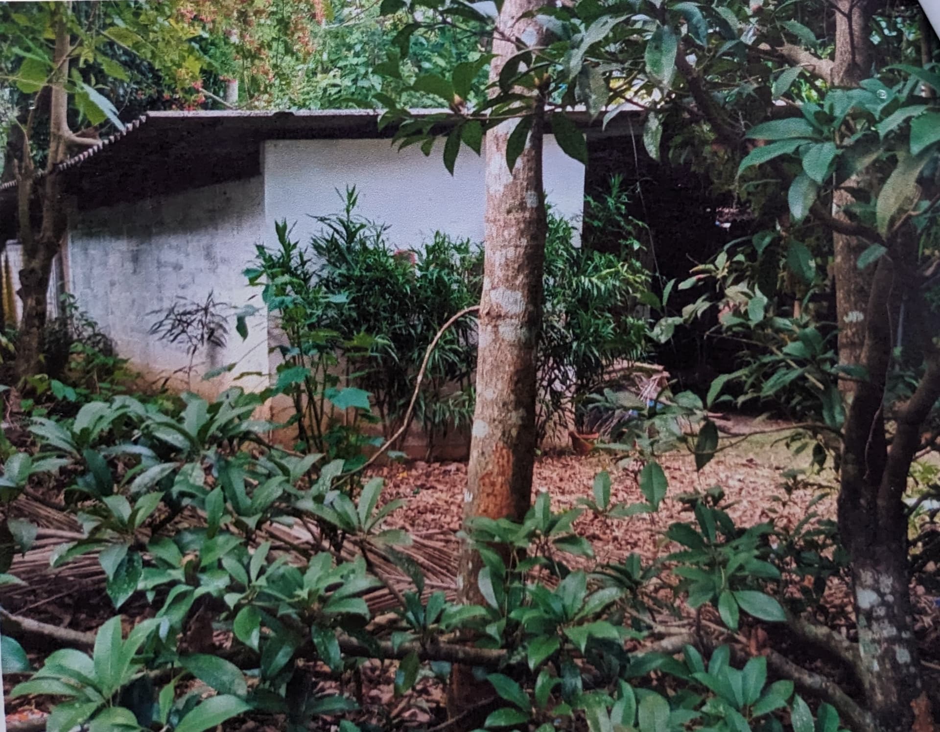 Property Photos 7