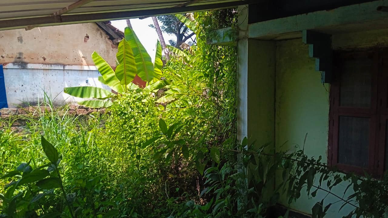 Property Photos 8