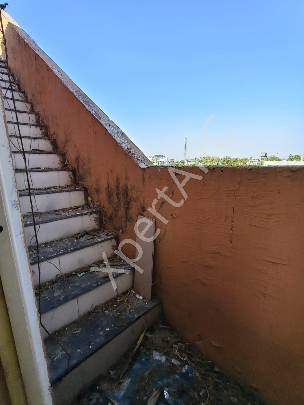 Property Photos 24