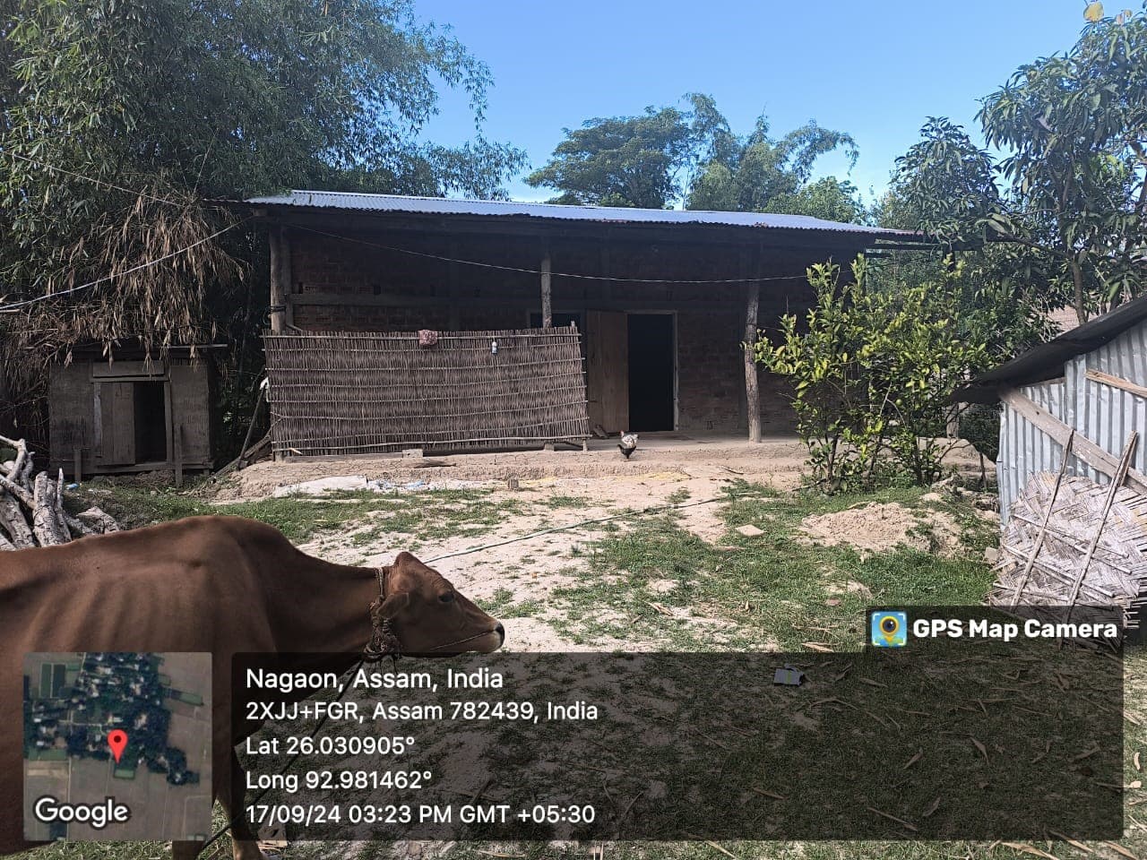 Property Photos 5
