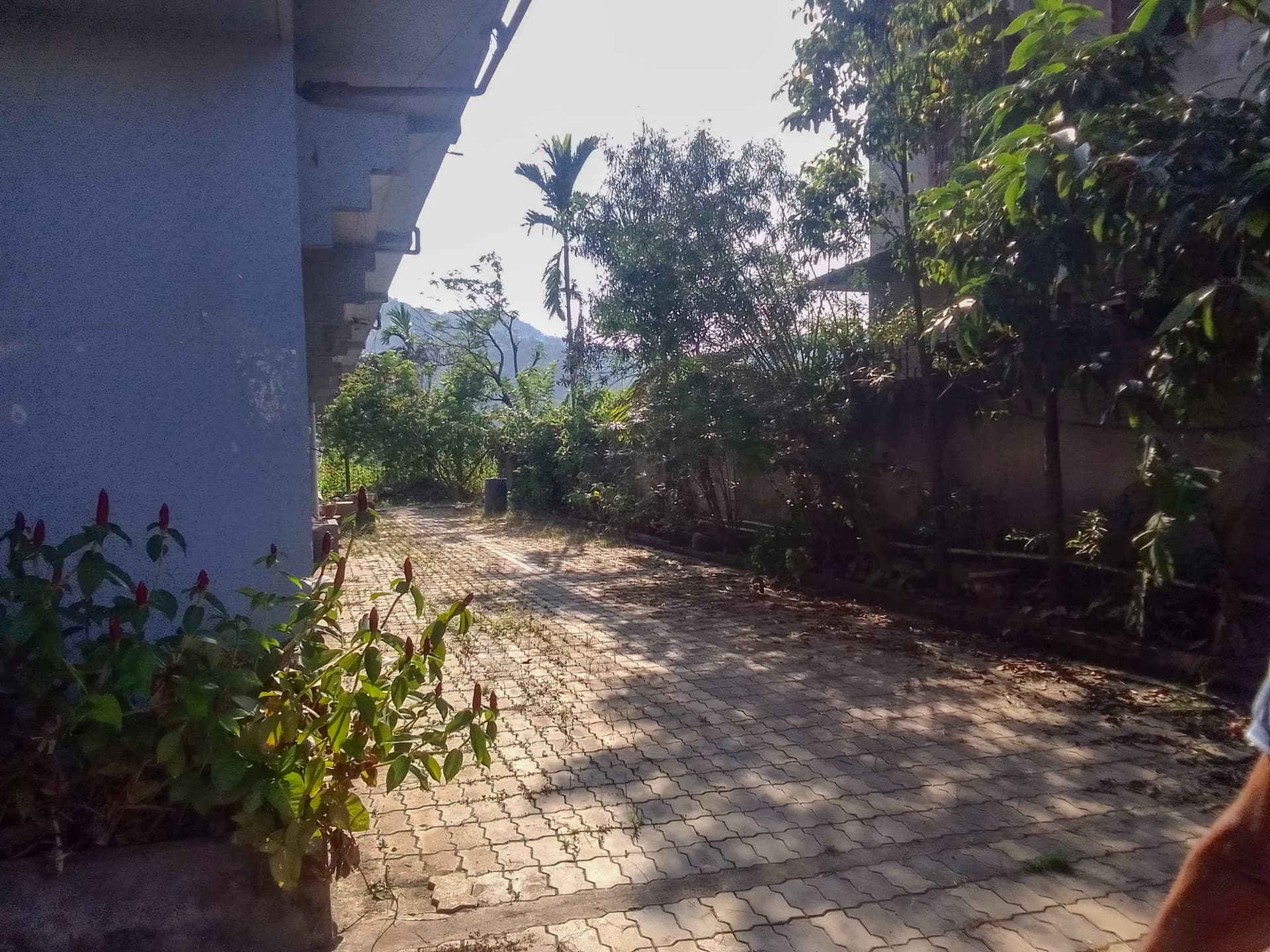 Property Photos 17