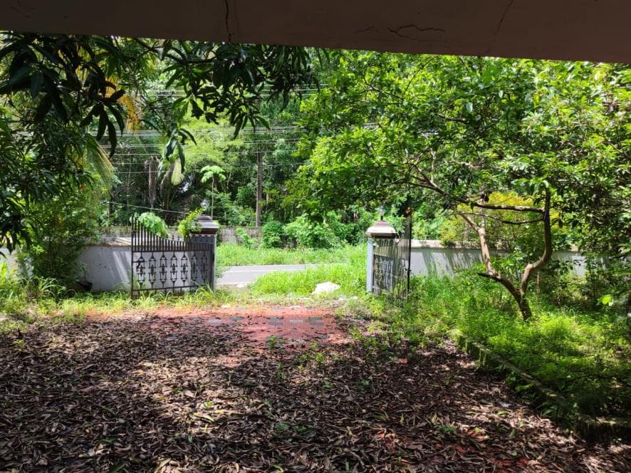 Property Photos 5