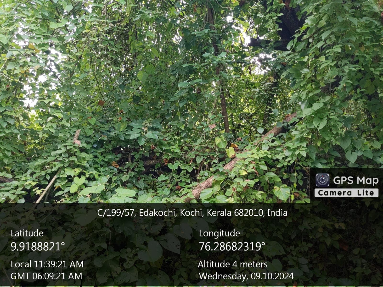 Property Photos 4