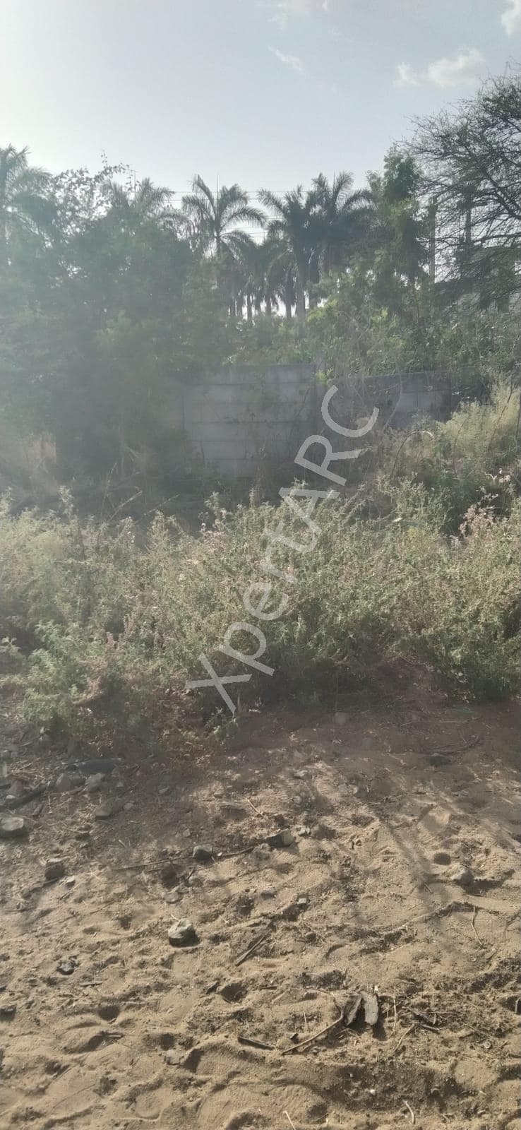 Property Photos 5