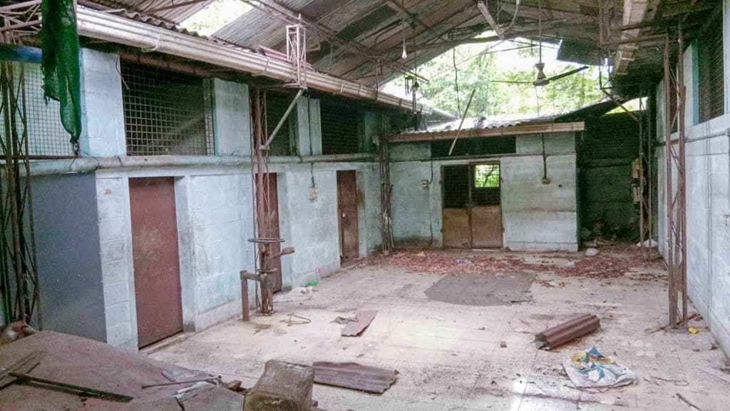 Property Photos 5