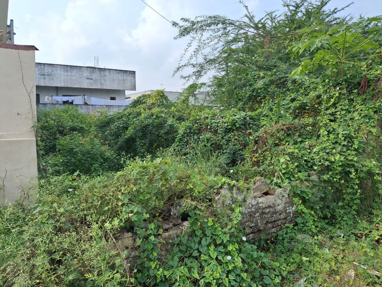 Property Photos 1