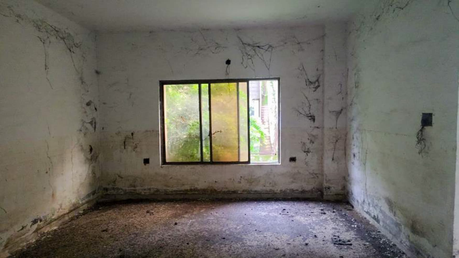 Property Photos 293
