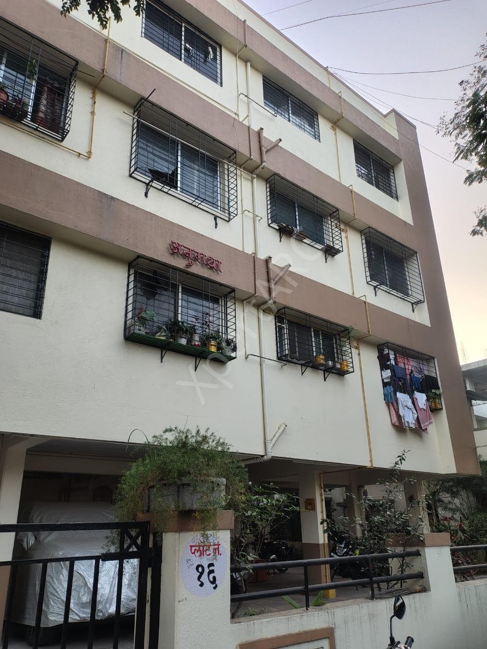 Property Photos 6