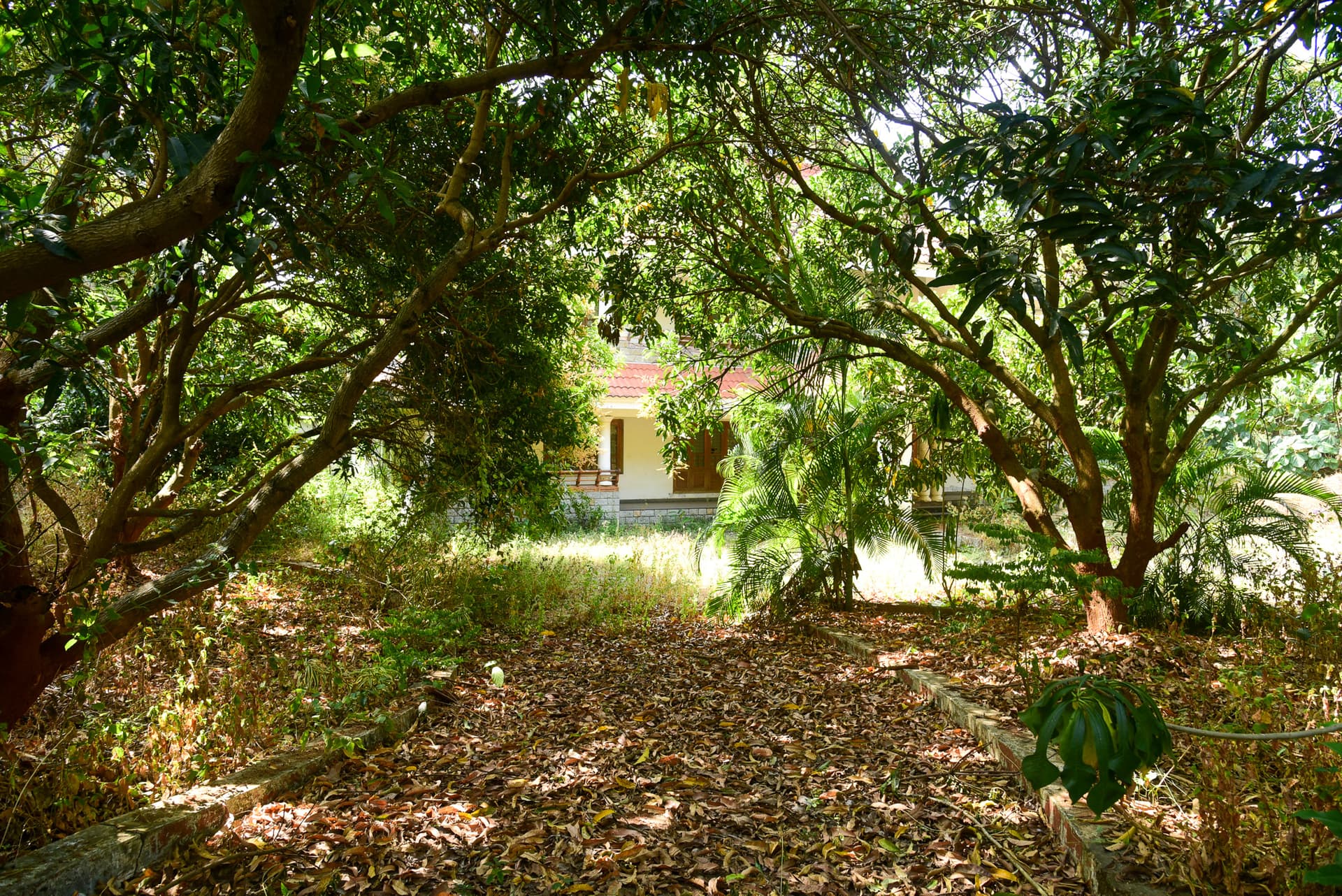 Property Photos 2