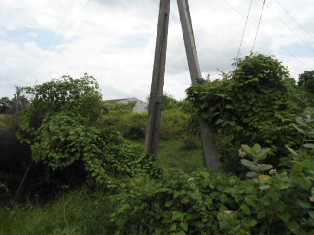 Property Photos 19