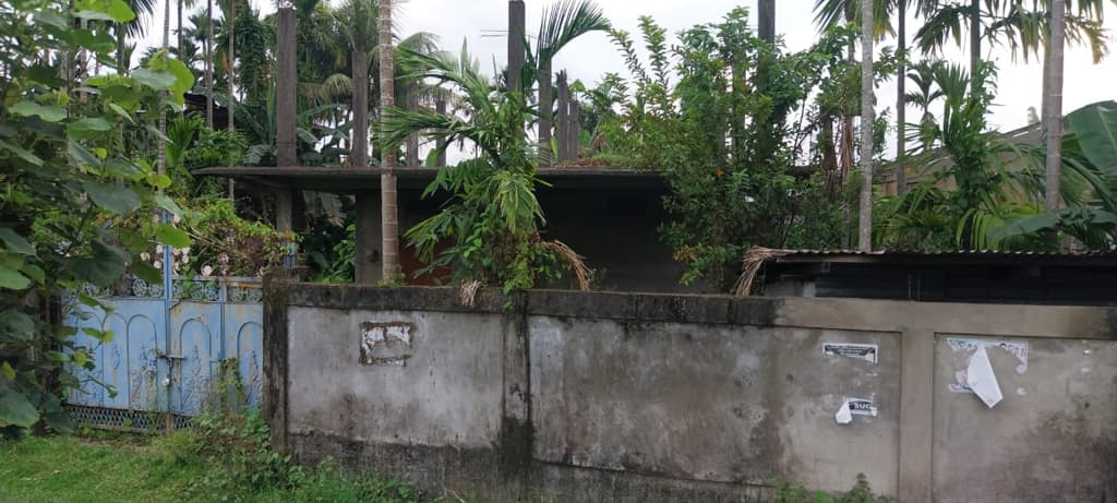 Property Photos 19