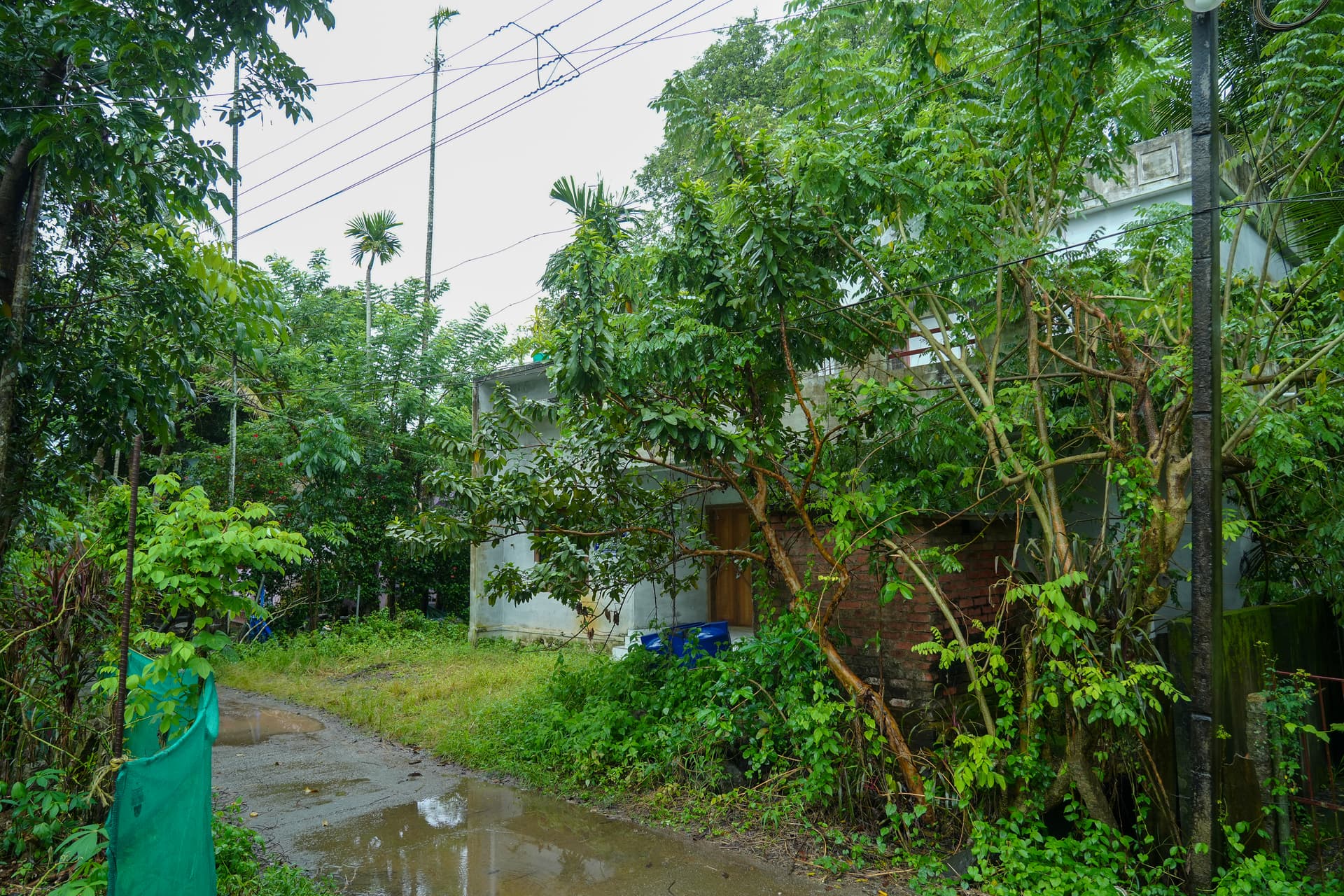 Property Photos 3