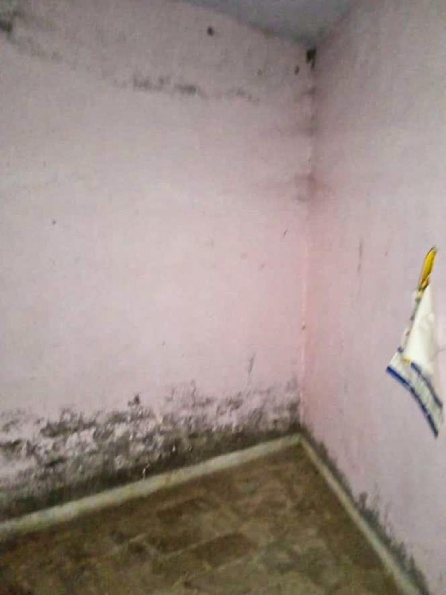 Property Photos 9