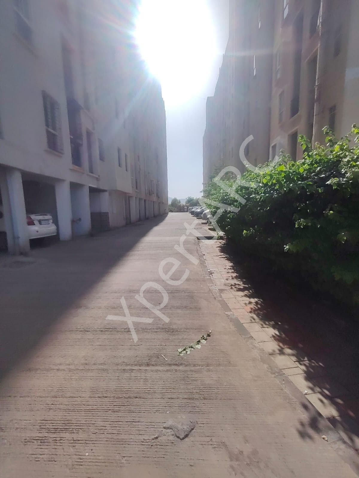 Property Photos 2