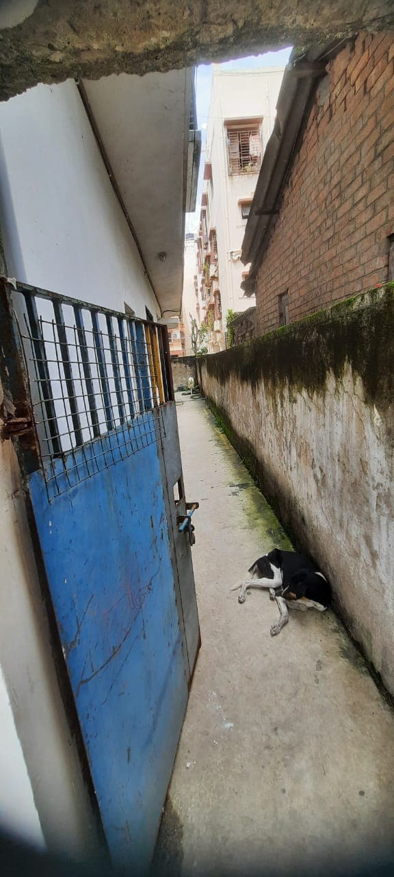Property Photos 6