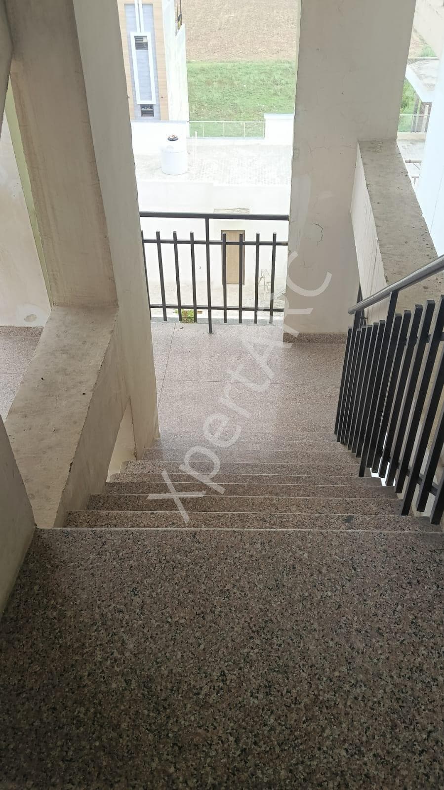 Property Photos 3