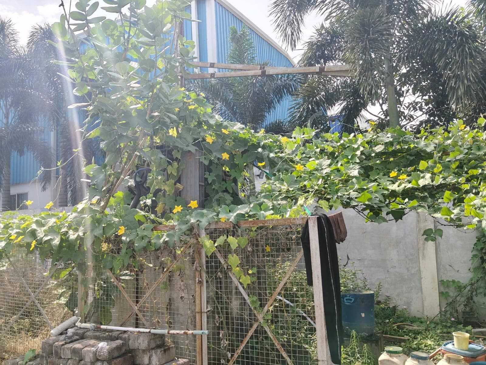 Property Photos 17