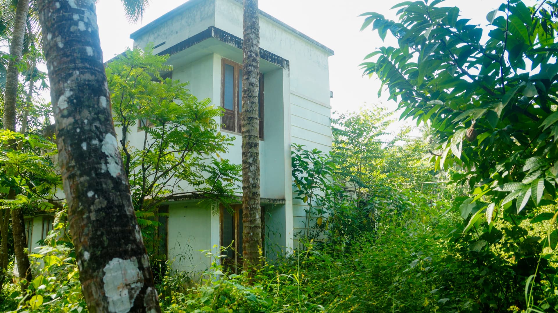 Property Photos 4