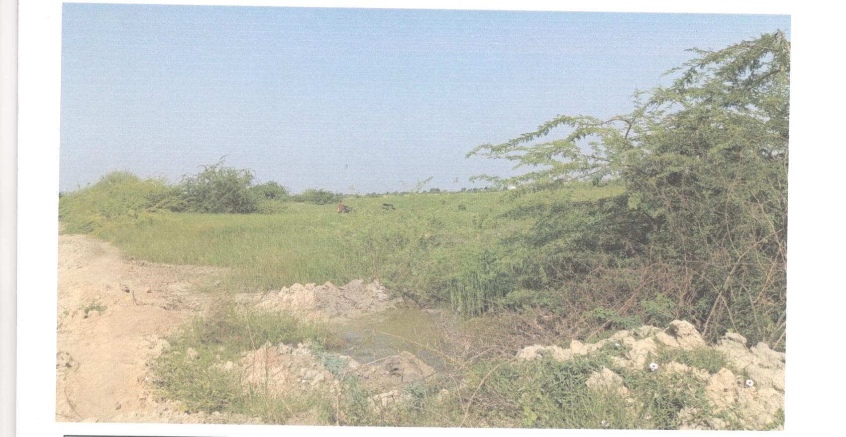 Property Photos 3