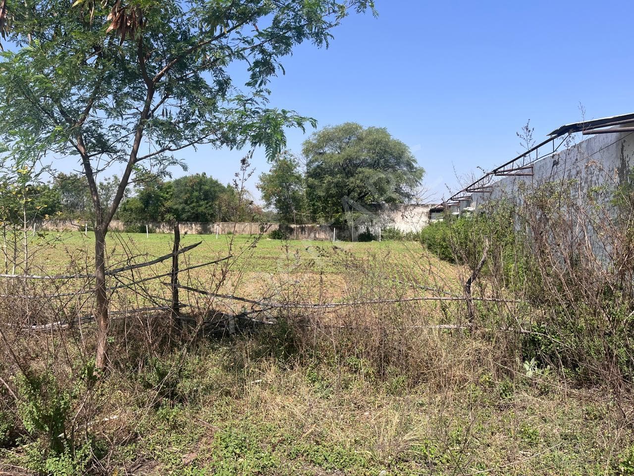 Property Photos 8