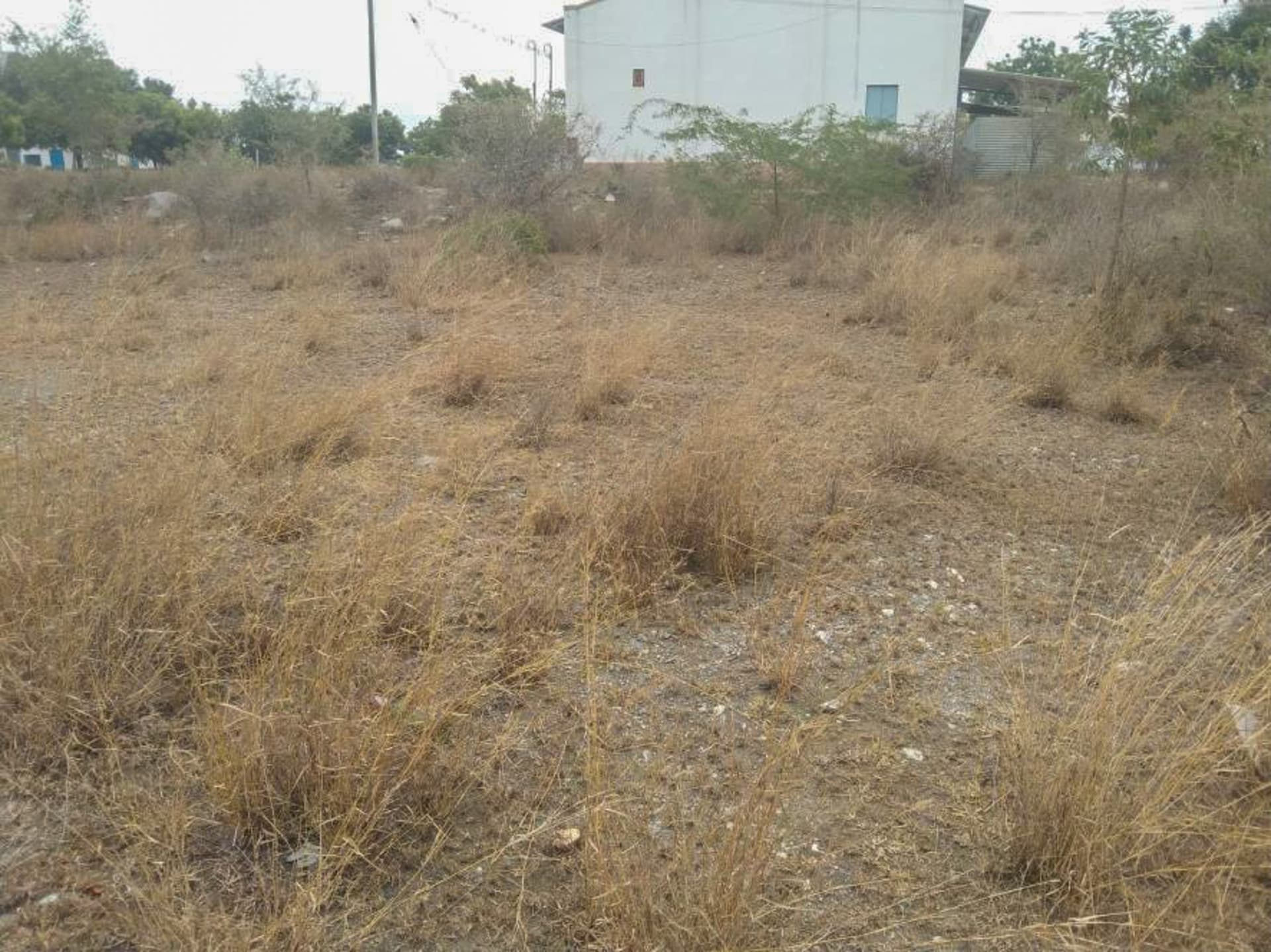 Property Photos 6