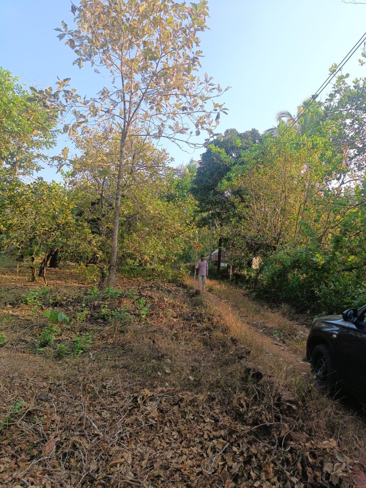 Property Photos 2