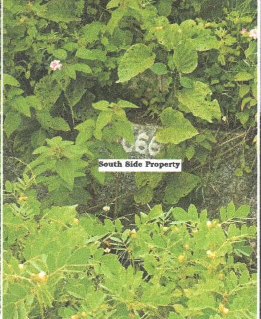 Property Photos 4