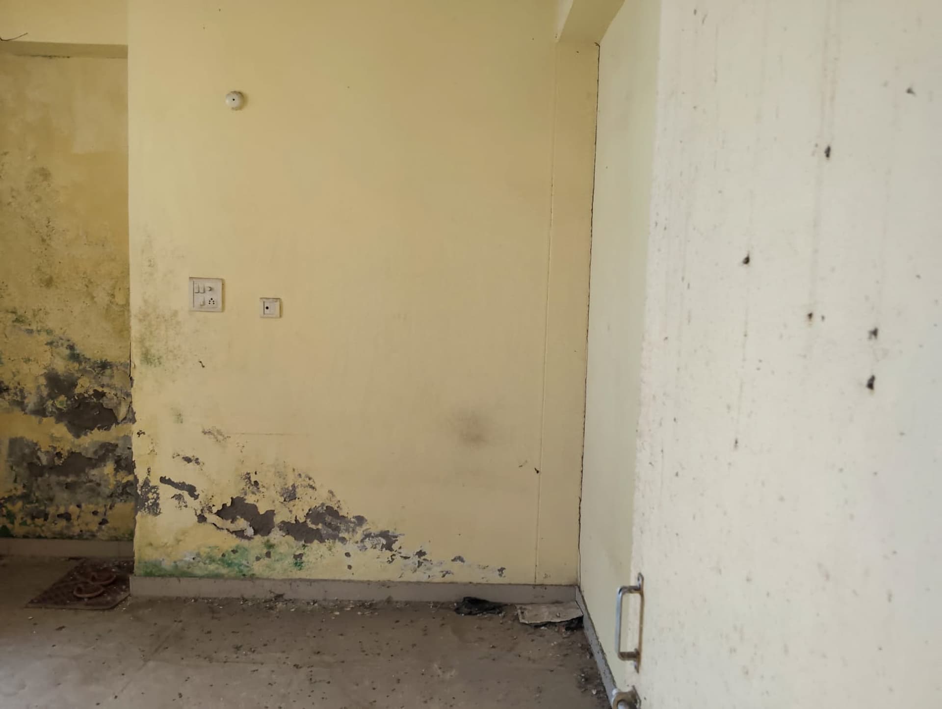 Property Photos 19