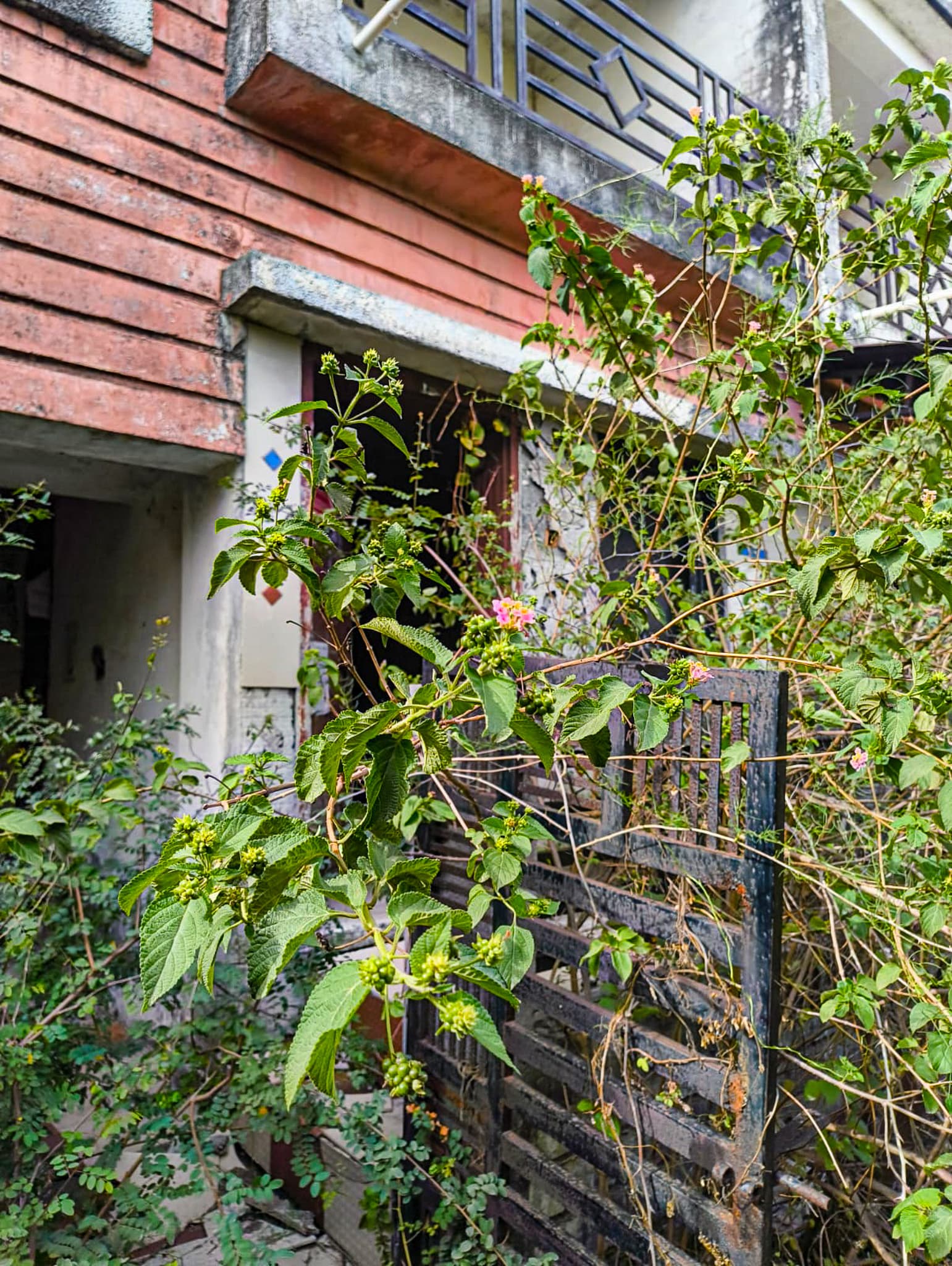 Property Photos 2