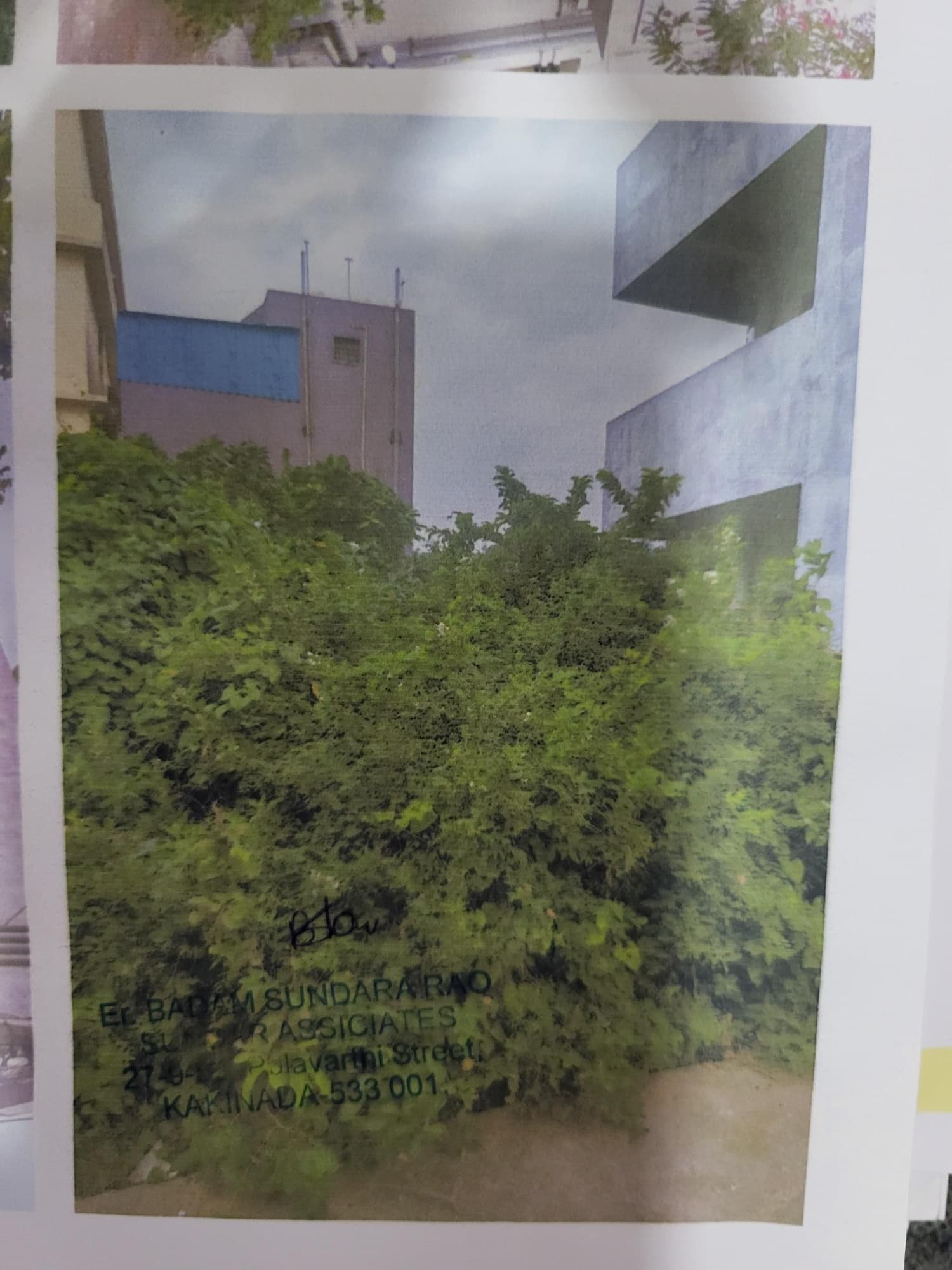 Property Photos 9